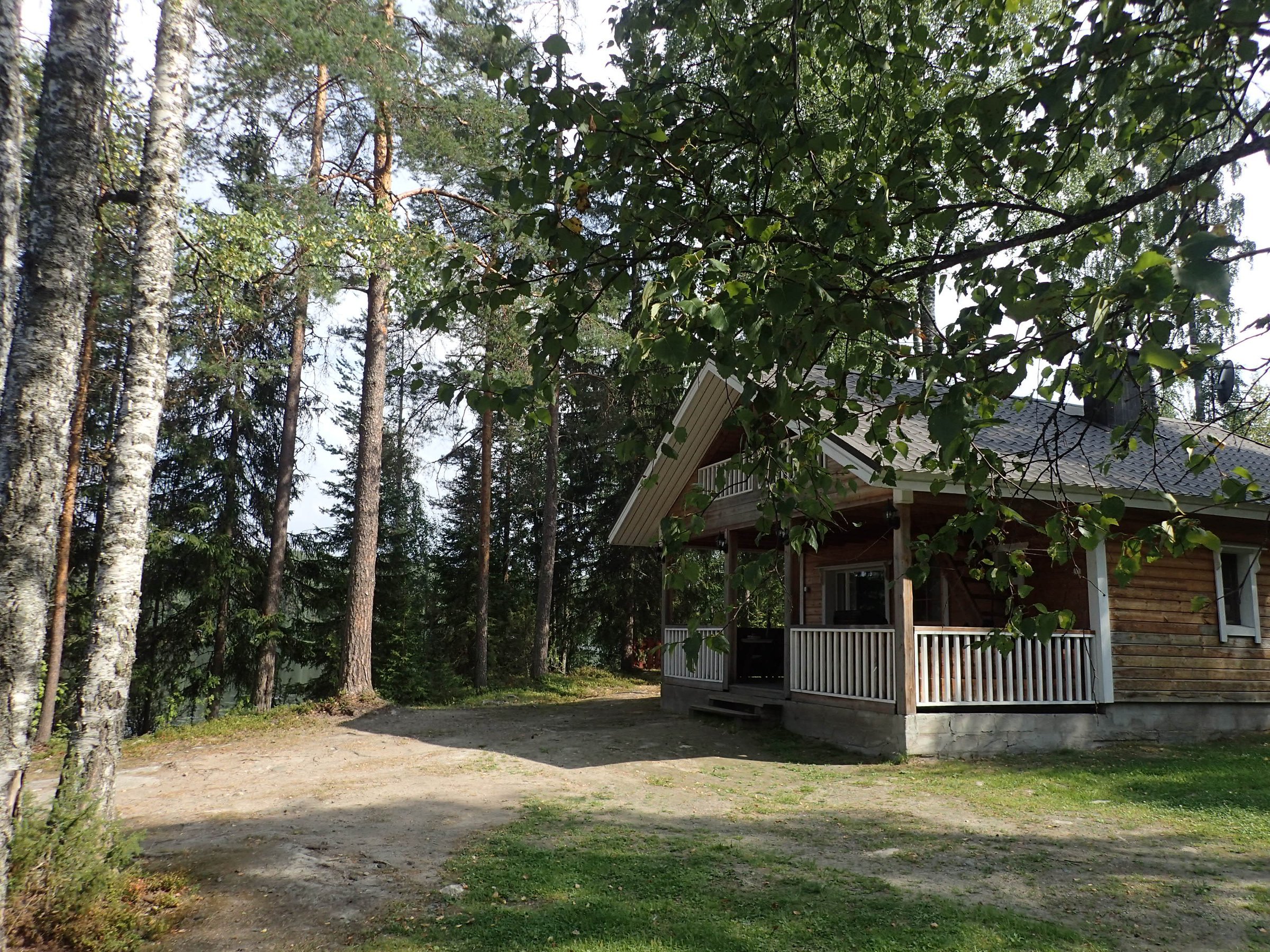 Kataja
